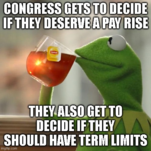 this really needs rectifying. | CONGRESS GETS TO DECIDE IF THEY DESERVE A PAY RISE; THEY ALSO GET TO DECIDE IF THEY SHOULD HAVE TERM LIMITS | image tagged in memes,but that's none of my business,kermit the frog | made w/ Imgflip meme maker