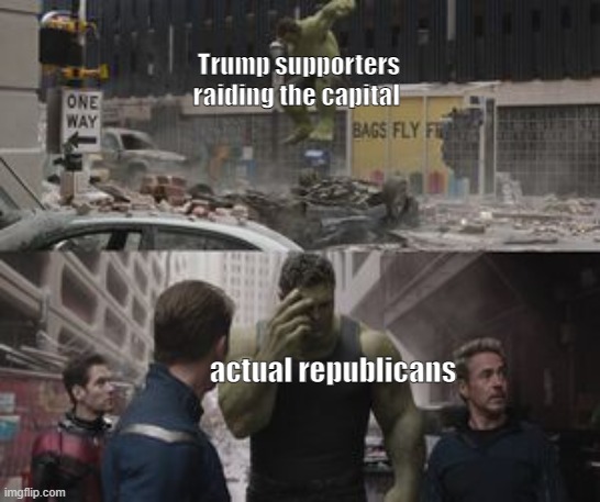 yikes bro | Trump supporters raiding the capital; actual republicans | image tagged in ashamed hulk,riots,trump supporters,funny | made w/ Imgflip meme maker