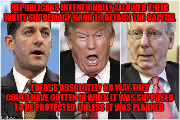 Republicans1234 | REPUBLICANS INTENTIONALLY ALLOWED THEIR WHITE SUPREMACY GANG TO ATTACK THE CAPITAL; THERE’S ABSOLUTELY NO WAY THEY COULD HAVE GOTTEN IN WHEN IT WAS SUPPOSED TO BE PROTECTED, UNLESS IT WAS PLANNED | image tagged in republicans1234 | made w/ Imgflip meme maker