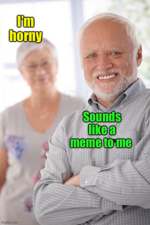 Harold wife | I’m horny Sounds like a meme to me | image tagged in harold wife | made w/ Imgflip meme maker