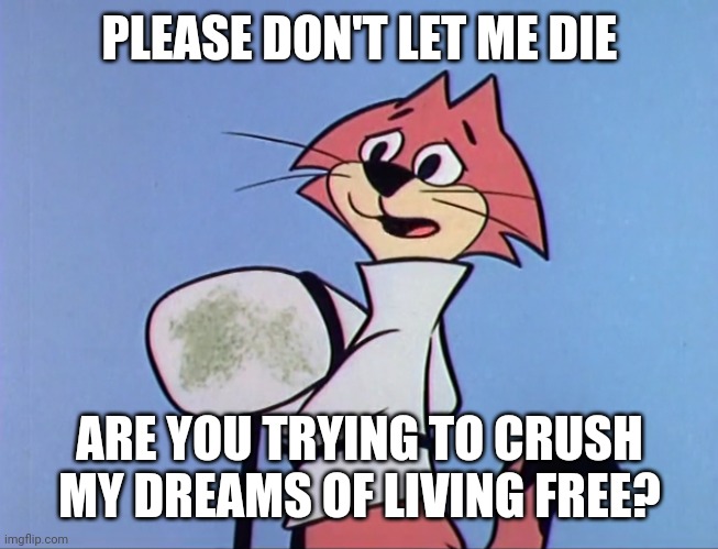 I Want to Break Free | PLEASE DON'T LET ME DIE; ARE YOU TRYING TO CRUSH MY DREAMS OF LIVING FREE? | image tagged in don't let chooch die | made w/ Imgflip meme maker