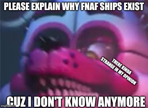 If u ship that's fine I just don't | PLEASE EXPLAIN WHY FNAF SHIPS EXIST; THERE KINDA STRANGE IN MY OPINION; CUZ I DON'T KNOW ANYMORE | image tagged in fnaf | made w/ Imgflip meme maker