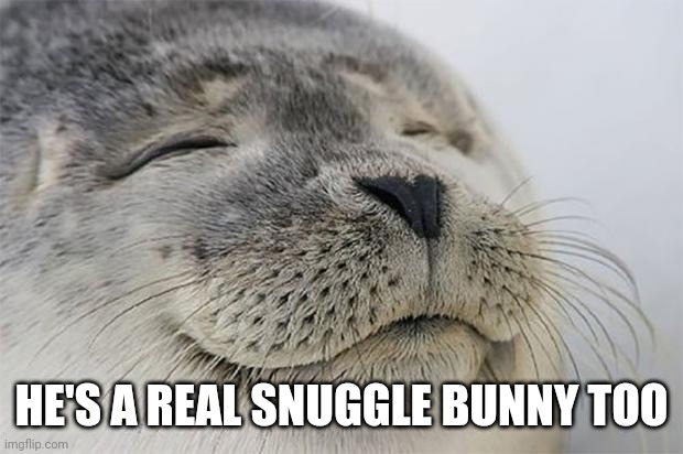 Satisfied Seal Meme | HE'S A REAL SNUGGLE BUNNY TOO | image tagged in memes,satisfied seal | made w/ Imgflip meme maker