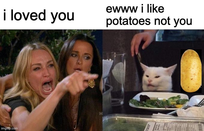 Woman Yelling At Cat Meme | i loved you; ewww i like potatoes not you | image tagged in memes,woman yelling at cat | made w/ Imgflip meme maker