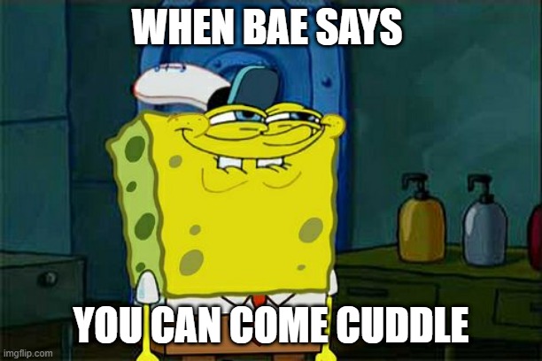 Don't You Squidward Meme | WHEN BAE SAYS; YOU CAN COME CUDDLE | image tagged in memes | made w/ Imgflip meme maker