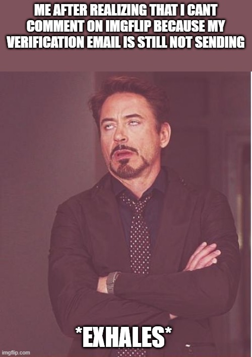 TiMeToFeElBaDfOrMe | ME AFTER REALIZING THAT I CANT COMMENT ON IMGFLIP BECAUSE MY VERIFICATION EMAIL IS STILL NOT SENDING; *EXHALES* | image tagged in memes,face you make robert downey jr,email | made w/ Imgflip meme maker
