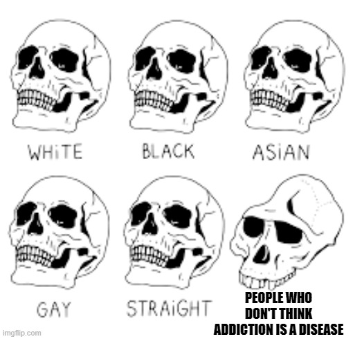 Skull Comparisons | PEOPLE WHO DON'T THINK ADDICTION IS A DISEASE | image tagged in skull comparisons | made w/ Imgflip meme maker