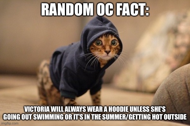 Hoody Cat | RANDOM OC FACT:; VICTORIA WILL ALWAYS WEAR A HOODIE UNLESS SHE’S GOING OUT SWIMMING OR IT’S IN THE SUMMER/GETTING HOT OUTSIDE | image tagged in memes,hoody cat | made w/ Imgflip meme maker