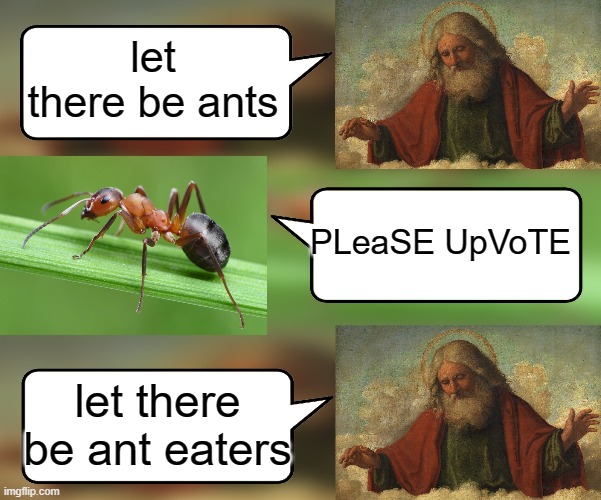 PLeZ UpVOte my foot | let there be ants; PLeaSE UpVoTE; let there be ant eaters | image tagged in god ants anteaters,upvote begging | made w/ Imgflip meme maker