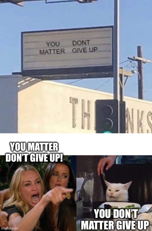 It’s toss up. Your parents are disappointed either way. | YOU MATTER DON’T GIVE UP! YOU DON’T MATTER GIVE UP | image tagged in memes,woman yelling at cat | made w/ Imgflip meme maker