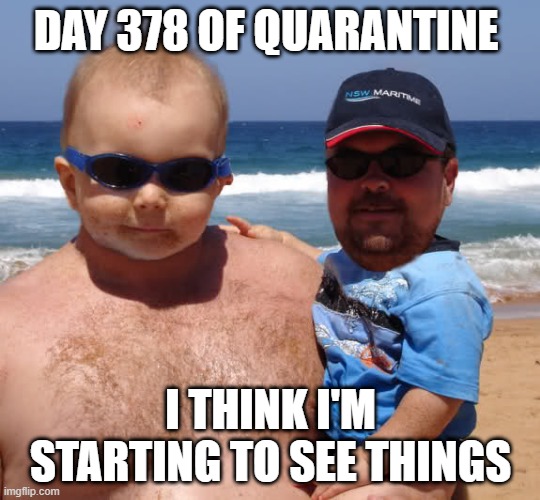 Day 378 of covid | DAY 378 OF QUARANTINE; I THINK I'M STARTING TO SEE THINGS | image tagged in memes,covid-19,photoshop | made w/ Imgflip meme maker