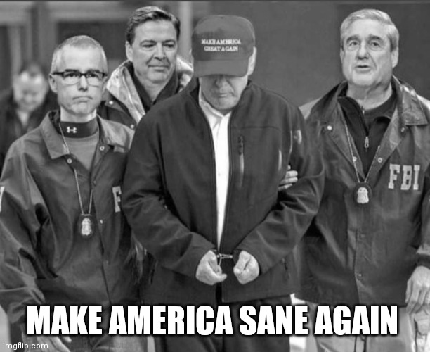 MASA not MAGA | MAKE AMERICA SANE AGAIN | image tagged in donald trump,trump,donald trump you're fired,arrested,maga,the future | made w/ Imgflip meme maker