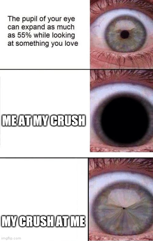 How your crush might or might not see you | ME AT MY CRUSH; MY CRUSH AT ME | image tagged in expanding pupil,eye pupil shrinking template,crush | made w/ Imgflip meme maker