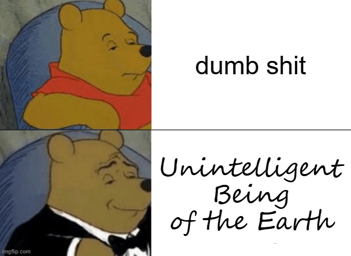Tuxedo Winnie The Pooh | dumb shit; Unintelligent Being of the Earth | image tagged in memes,tuxedo winnie the pooh | made w/ Imgflip meme maker