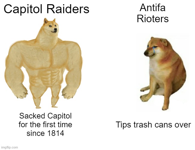 Raiders vs Rioters | Capitol Raiders; Antifa
Rioters; Sacked Capitol
for the first time
since 1814; Tips trash cans over | image tagged in memes,buff doge vs cheems | made w/ Imgflip meme maker