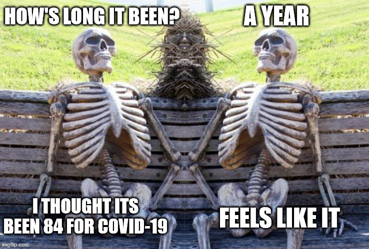 A YEAR; HOW'S LONG IT BEEN? I THOUGHT ITS BEEN 84 FOR COVID-19; FEELS LIKE IT | image tagged in memes,waiting skeleton | made w/ Imgflip meme maker