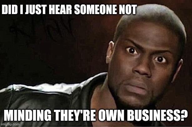 Annoying ppl | DID I JUST HEAR SOMEONE NOT; MINDING THEY'RE OWN BUSINESS? | image tagged in memes,kevin hart | made w/ Imgflip meme maker