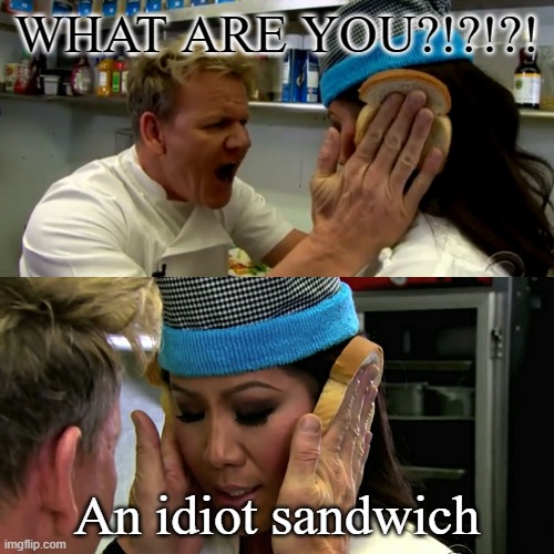 Tik tokers be like | WHAT ARE YOU?!?!?! An idiot sandwich | image tagged in gordon ramsay idiot sandwich,tik tokers are dumb | made w/ Imgflip meme maker