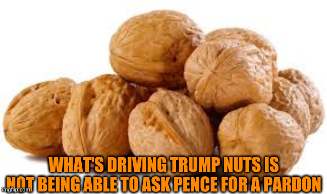 Trump nuts | WHAT'S DRIVING TRUMP NUTS IS NOT BEING ABLE TO ASK PENCE FOR A PARDON | image tagged in pardon | made w/ Imgflip meme maker