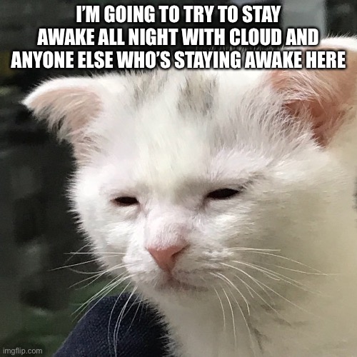 I'm awake, but at what cost? | I’M GOING TO TRY TO STAY AWAKE ALL NIGHT WITH CLOUD AND ANYONE ELSE WHO’S STAYING AWAKE HERE | image tagged in i'm awake but at what cost | made w/ Imgflip meme maker