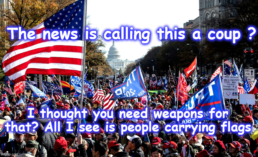 protest | The news is calling this a coup ? I thought you need weapons for that? All I see is people carrying flags | image tagged in protest | made w/ Imgflip meme maker