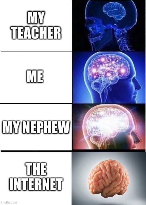Expanding Brain | MY TEACHER; ME; MY NEPHEW; THE INTERNET | image tagged in memes,expanding brain,funny,smart | made w/ Imgflip meme maker