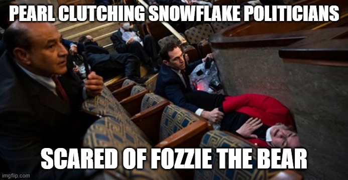 PEARL CLUTCHING SNOWFLAKE POLITICIANS; SCARED OF FOZZIE THE BEAR | image tagged in politics | made w/ Imgflip meme maker