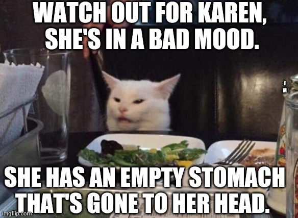 Salad cat | WATCH OUT FOR KAREN,  SHE'S IN A BAD MOOD. J M; SHE HAS AN EMPTY STOMACH THAT'S GONE TO HER HEAD. | image tagged in salad cat | made w/ Imgflip meme maker