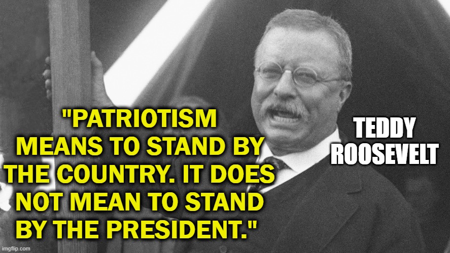 Good quote? | "PATRIOTISM MEANS TO STAND BY THE COUNTRY. IT DOES NOT MEAN TO STAND BY THE PRESIDENT."; TEDDY ROOSEVELT | image tagged in teddy roosevelt,patriotism | made w/ Imgflip meme maker