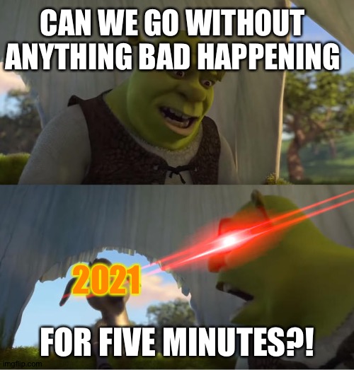 Let's hope 2021 will be a better year | CAN WE GO WITHOUT ANYTHING BAD HAPPENING; 2021; FOR FIVE MINUTES?! | image tagged in shrek for five minutes | made w/ Imgflip meme maker