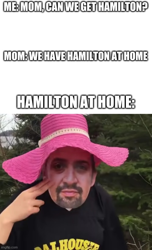 ME: MOM, CAN WE GET HAMILTON? MOM: WE HAVE HAMILTON AT HOME; HAMILTON AT HOME: | image tagged in blank white template | made w/ Imgflip meme maker