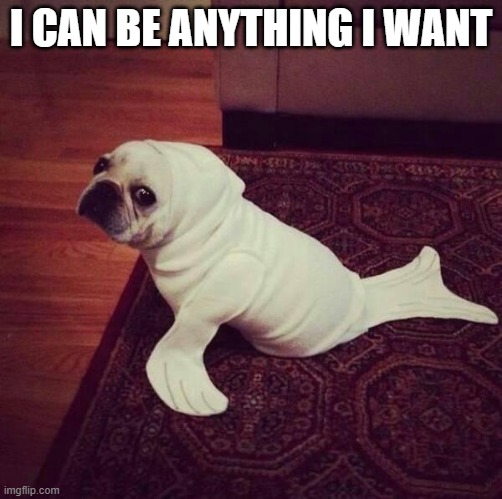 Halloween Dog Seal | I CAN BE ANYTHING I WANT | image tagged in halloween dog seal | made w/ Imgflip meme maker