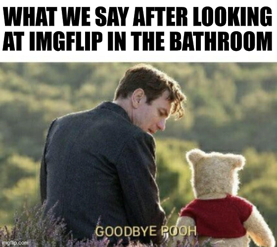 WHAT WE SAY AFTER LOOKING AT IMGFLIP IN THE BATHROOM | made w/ Imgflip meme maker