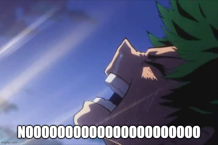 Deku screaming | NOOOOOOOOOOOOOOOOOOOOOO | image tagged in deku screaming | made w/ Imgflip meme maker