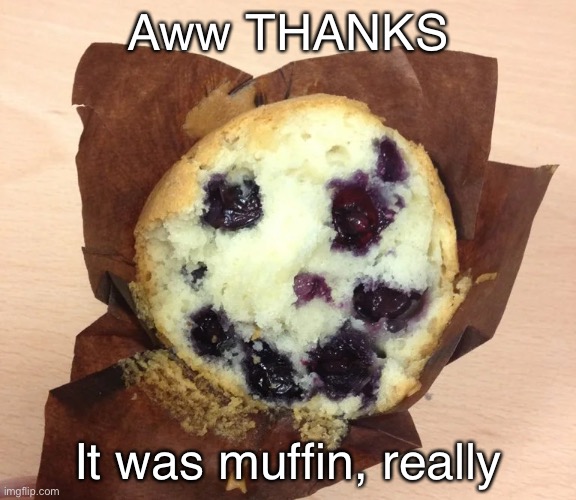 Aww THANKS It was muffin, really | made w/ Imgflip meme maker