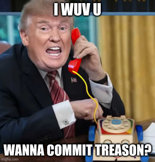 I'm the president | I WUV U; WANNA COMMIT TREASON? | image tagged in i'm the president,rumpt | made w/ Imgflip meme maker