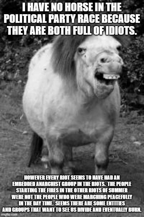 ugly horse | I HAVE NO HORSE IN THE POLITICAL PARTY RACE BECAUSE THEY ARE BOTH FULL OF IDIOTS. HOWEVER EVERY RIOT SEEMS TO HAVE HAD AN EMBEDDED ANARCHIST | image tagged in ugly horse | made w/ Imgflip meme maker