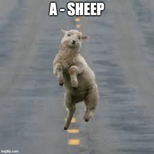 dancing sheep | A - SHEEP | image tagged in dancing sheep | made w/ Imgflip meme maker