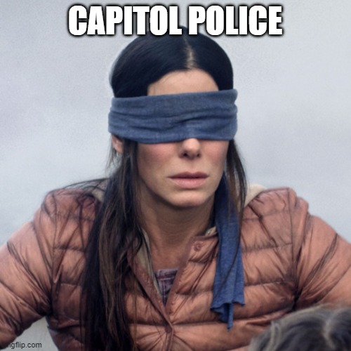 Sandra Bullock Blindfolded | CAPITOL POLICE | image tagged in sandra bullock blindfolded | made w/ Imgflip meme maker