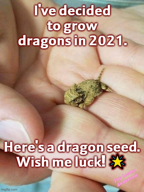 I'm growing dragons in 2021. Here's a dragon seed. | 𝗜'𝘃𝗲 𝗱𝗲𝗰𝗶𝗱𝗲𝗱 𝘁𝗼 𝗴𝗿𝗼𝘄 𝗱𝗿𝗮𝗴𝗼𝗻𝘀 𝗶𝗻 𝟮𝟬𝟮𝟭. 𝗛𝗲𝗿𝗲'𝘀 𝗮 𝗱𝗿𝗮𝗴𝗼𝗻 𝘀𝗲𝗲𝗱.
𝗪𝗶𝘀𝗵 𝗺𝗲 𝗹𝘂𝗰𝗸! 🌟; 𝑱𝒐𝒚  𝑳𝒆𝒐𝒏𝒂 𝑨𝒏𝒅𝒆𝒓𝒔𝒐𝒏 | image tagged in dragon,horny,toad,little,cute | made w/ Imgflip meme maker
