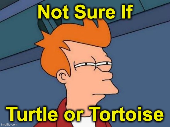 Futurama Fry Meme | Not Sure If Turtle or Tortoise | image tagged in memes,futurama fry | made w/ Imgflip meme maker