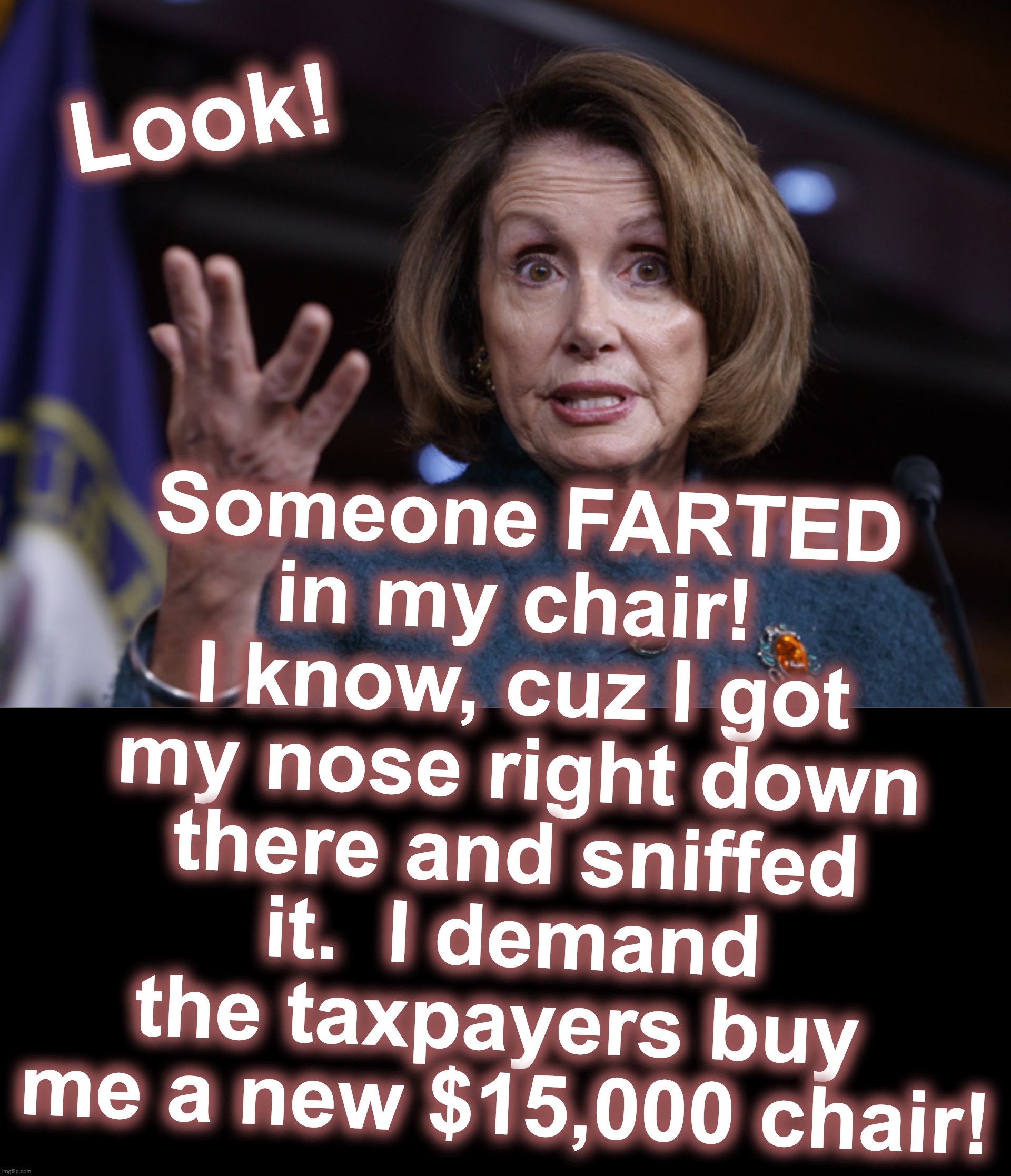 [warning: methane satire] |  Someone FARTED in my chair!  I know, cuz I got my nose right down there and sniffed it.  I demand the taxpayers buy  me a new $15,000 chair! Look! | image tagged in good old nancy pelosi,chair,sniff,taxpayer | made w/ Imgflip meme maker