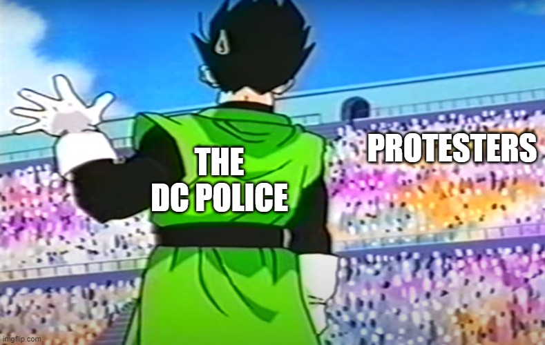 Gohan Waving | PROTESTERS; THE DC POLICE | image tagged in gohan waving,dc,capital raid | made w/ Imgflip meme maker