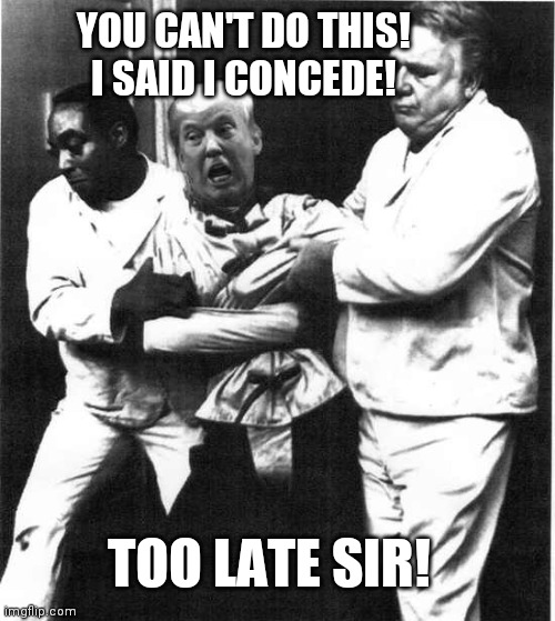 Trump concedes? | YOU CAN'T DO THIS!
I SAID I CONCEDE! TOO LATE SIR! | image tagged in trump 2020,trump meme,donald trump,funny memes,loser | made w/ Imgflip meme maker