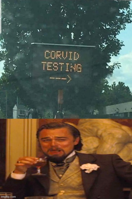 Ah yes CORVID TESTING... | image tagged in laughing leo,you had one job,dank memes,coronavirus | made w/ Imgflip meme maker