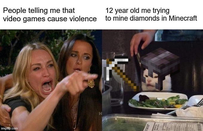 Is minecraft even that violent? | People telling me that video games cause violence; 12 year old me trying to mine diamonds in Minecraft | image tagged in memes,woman yelling at cat | made w/ Imgflip meme maker