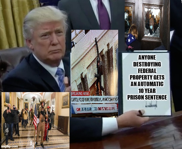 The Law Of Unintended Consequences | ANYONE DESTROYING FEDERAL PROPERTY GETS AN AUTOMATIC 10 YEAR PRISON SENTENCE | image tagged in donald trump bill sign,donald trump,trump riots 1/6/21 | made w/ Imgflip meme maker