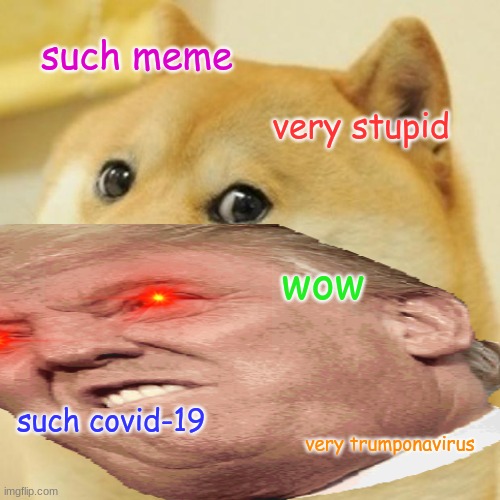 doge with something | such meme; very stupid; wow; such covid-19; very trumponavirus | image tagged in well yes but actually no | made w/ Imgflip meme maker