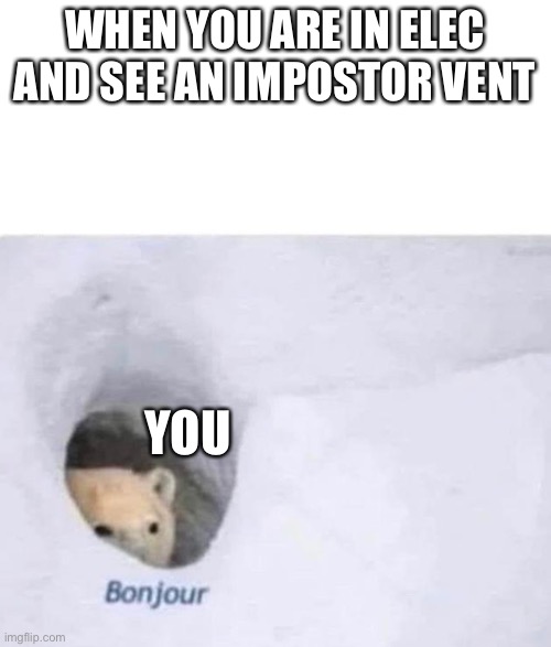 Lol polar bear | WHEN YOU ARE IN ELEC AND SEE AN IMPOSTOR VENT; YOU | image tagged in bonjour | made w/ Imgflip meme maker