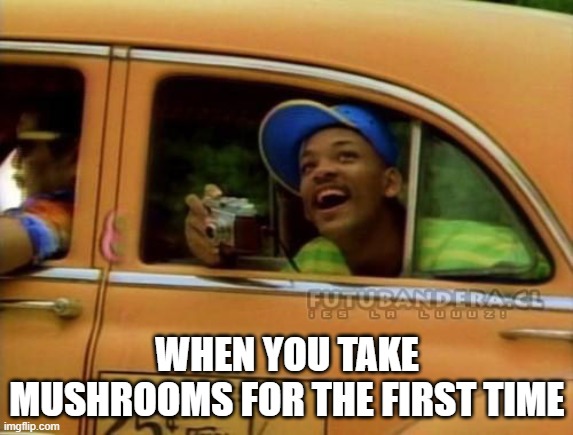 fresh prince of bel air | WHEN YOU TAKE MUSHROOMS FOR THE FIRST TIME | image tagged in fresh prince of bel air | made w/ Imgflip meme maker